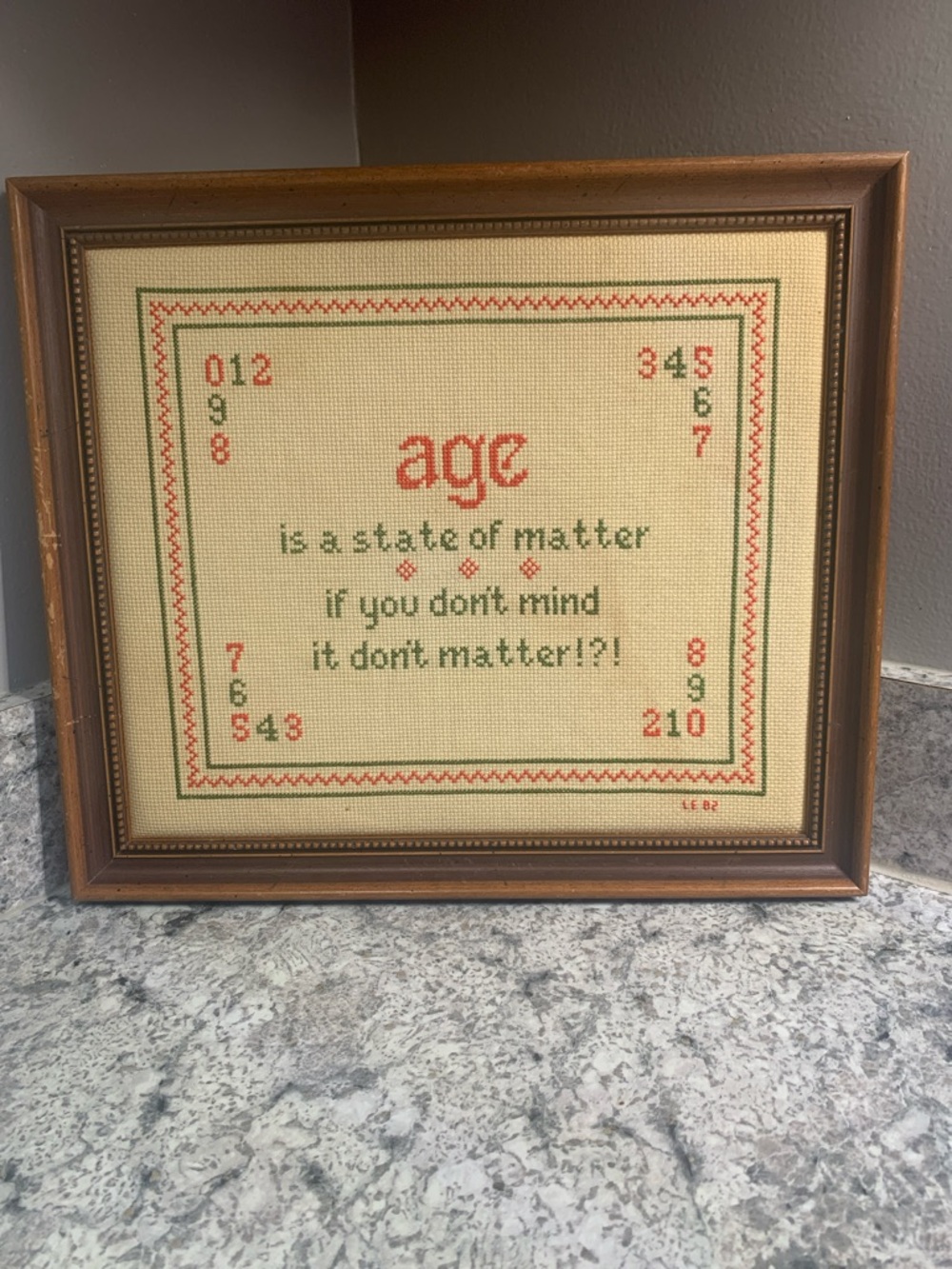 Embroidered Framed Sampler - Red & Green "age" Quote